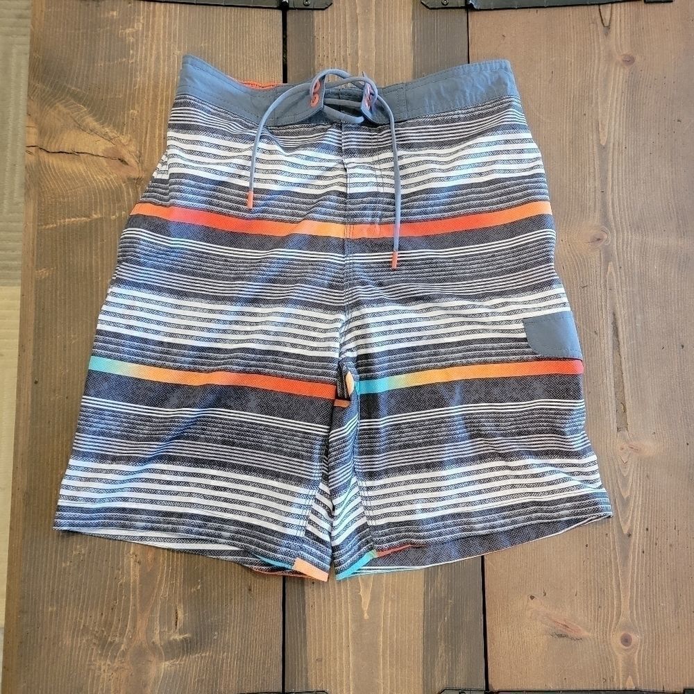 Men’s Speedo multi-color striped swim shorts board